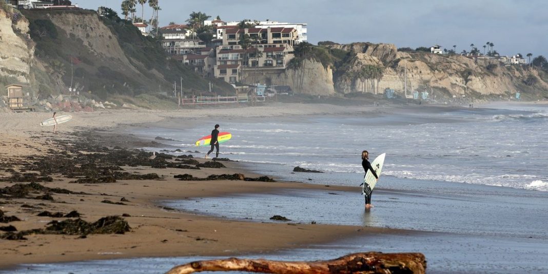 California officials shut down beach on Memorial Day after shark knocks surfer off his board and leaves foot-long bite mark | Blaze Media