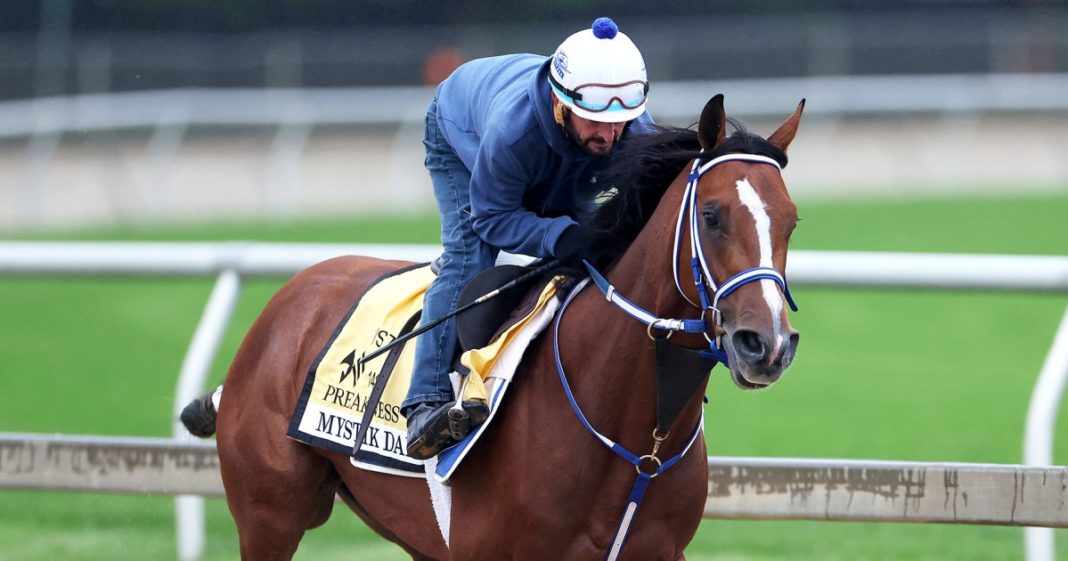 Preakness 2024 live updates: How to watch, start time, best horses to bet