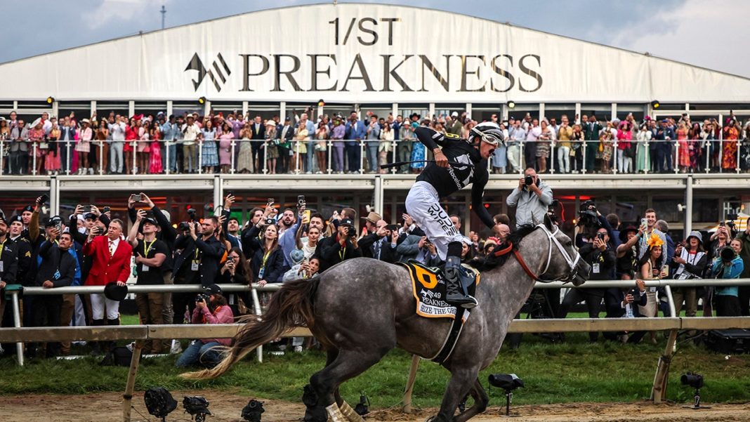 Seize The Grey wins 149th Preakness Stakes; Mystik Dan finishes 2nd