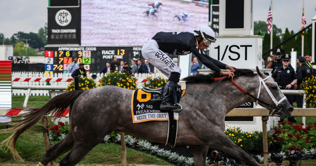 Seize the Grey wins 2024 Preakness Stakes, ruining Mystik Dan’s Triple Crown odds