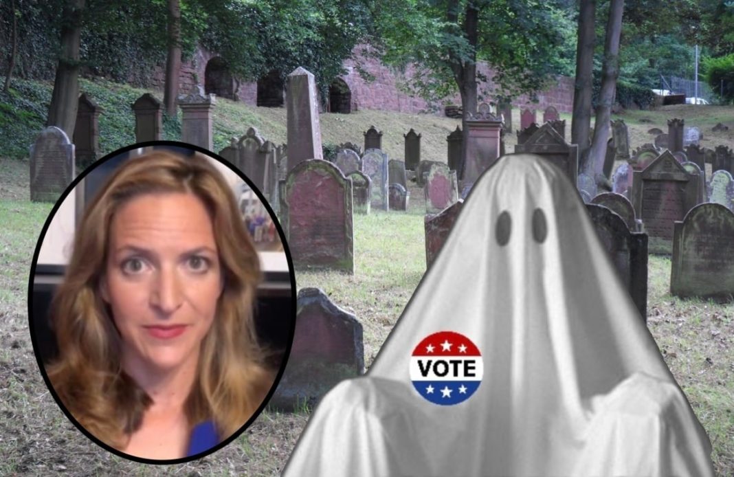 320,000 GHOST VOTERS Identified in MUST WIN State of MI — Are Democrats Resorting to Dirty Tricks Reportedly Used by a Third-World Country to Win in 2024? | The Gateway Pundit | by Patty McMurray