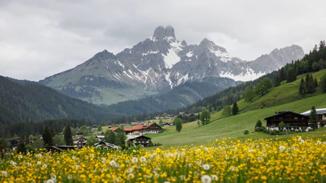 EU countries approve landmark nature law after delays