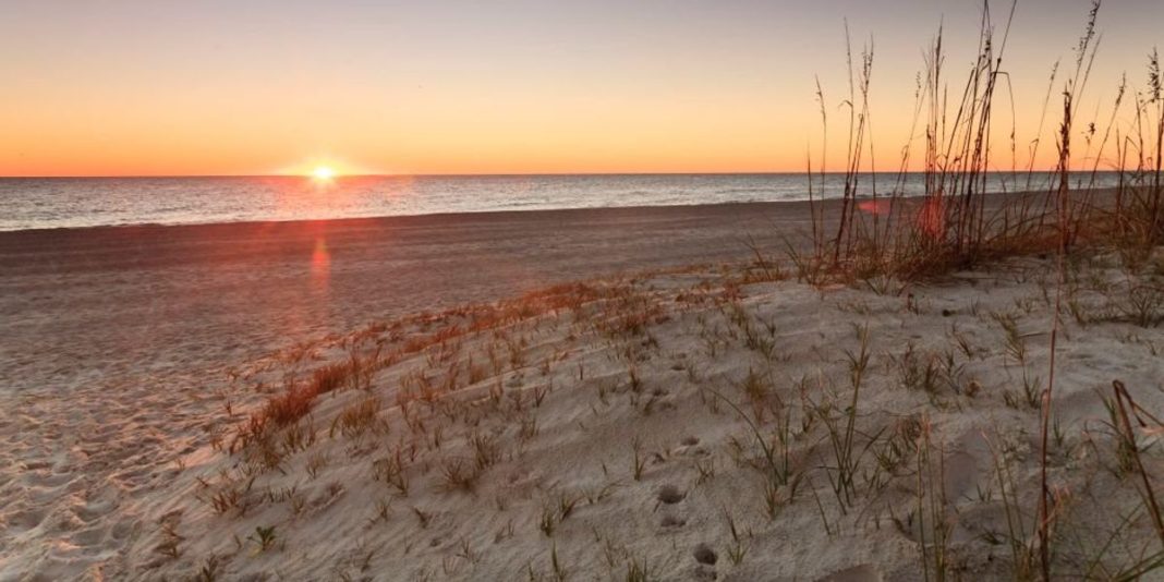 Florida man goes to beach searching for sea turtle nests, finds over $4.8 million in cocaine instead | Blaze Media