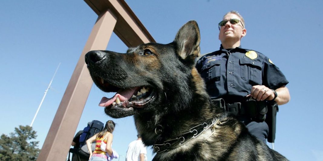 Former cop charged with misdemeanor animal cruelty for allegedly leaving K-9 police dog to die in his patrol car | Blaze Media