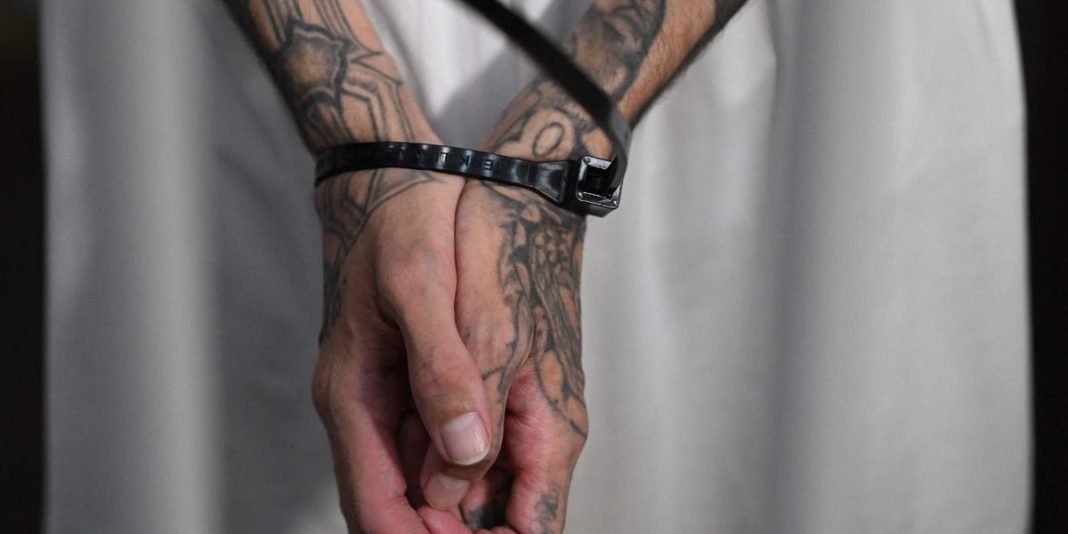 Leader of MS-13 gang, known as part of 'Twelve Apostles of the Devil,' arrested on terror charges in Texas | Blaze Media