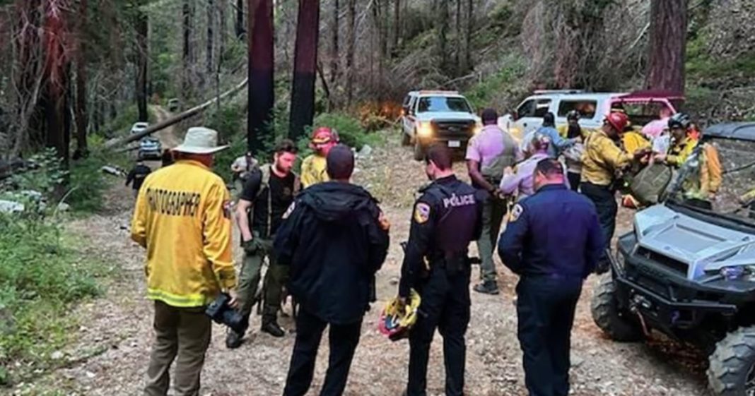 Man missing for days found alive in California wooded area