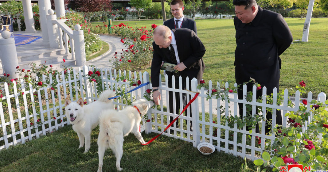 North Korea’s Kim gives pair of dogs to Putin