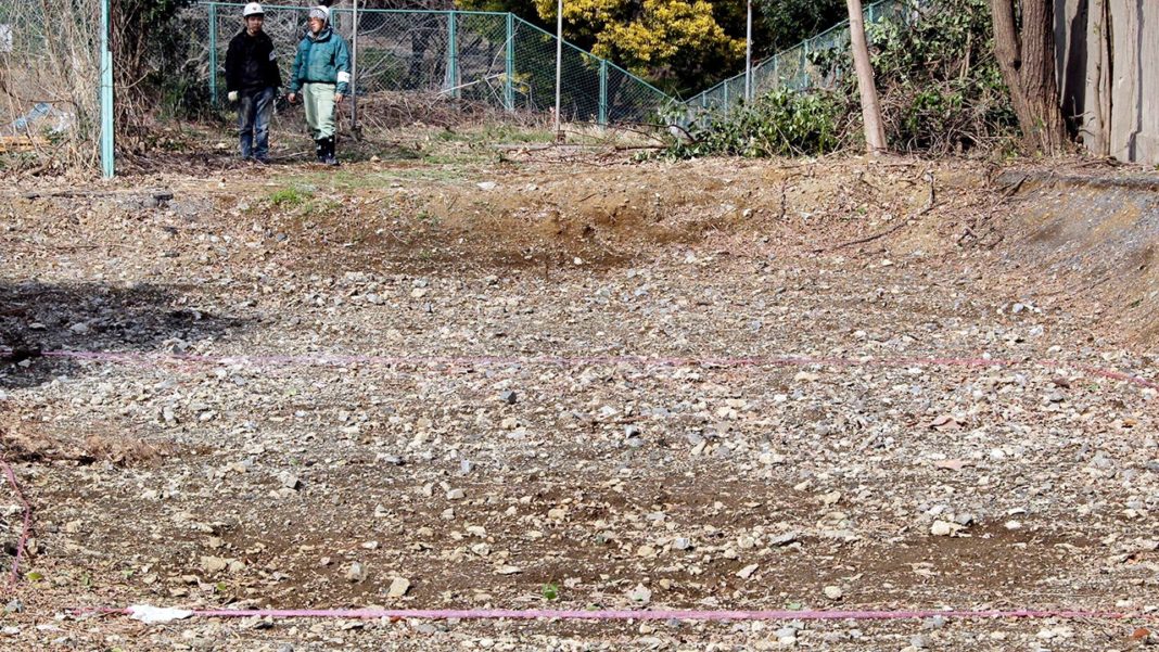 A mysterious pile of bones could hold evidence of Japanese war crimes, activists say