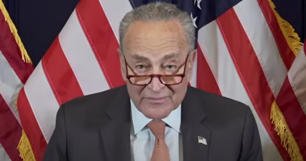 Chuck Schumer Tries to Drum Up Enthusiasm for Kamala Harris, Crowd Responds with Total Silence