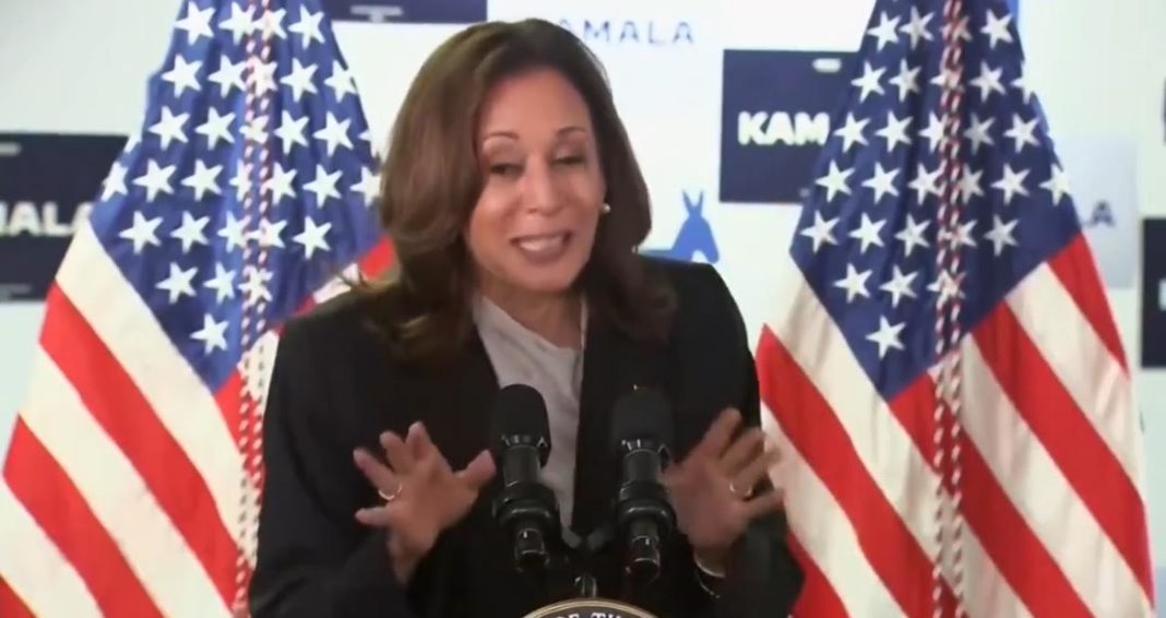 Is This a Recording? Joe Biden *Allegedly* Calls in to His Former Campaign HQ Before Kamala Speaks - Sounds Like Hell, Slurs... Did He Have a Stroke? (AUDIO) | The Gateway Pundit | by Cristina Laila