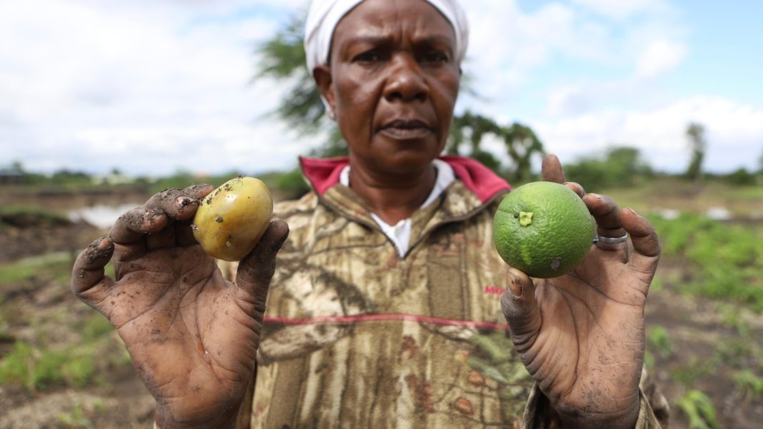 Kenya's dramatic flooding sweeps away a central part of the economy: Its farms