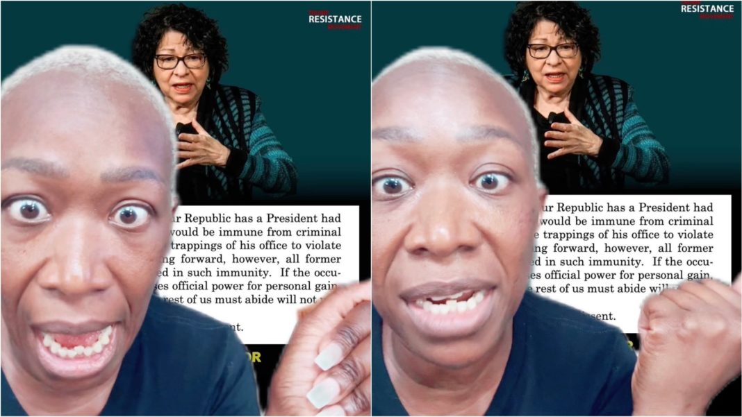 MSNBC’s Resident Wacko Joy Reid Claims Biden's Health Irrelevant — 'He Could Be in a Wheelchair, I Don't Care, As Long As Trump Doesn't Win' (VIDEO) | The Gateway Pundit | by Jim Hᴏft