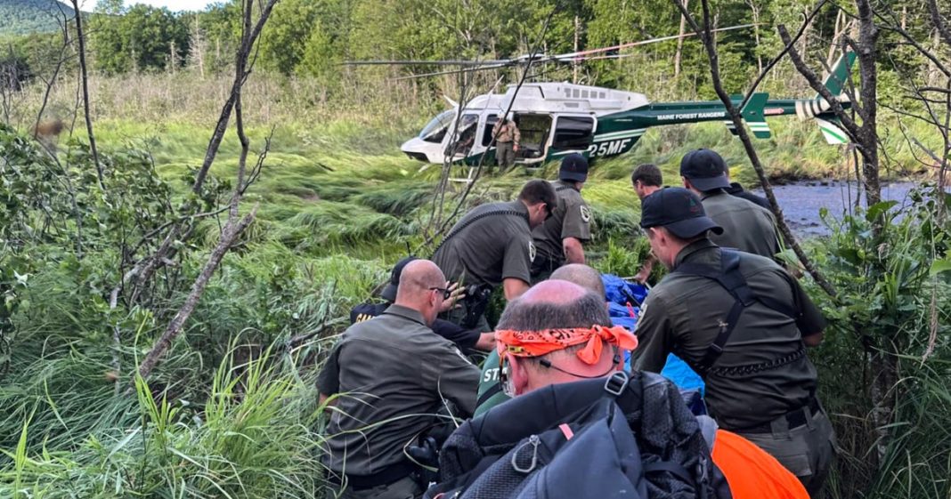 Missing 75-year-old man found alive in Maine bog after 4 days