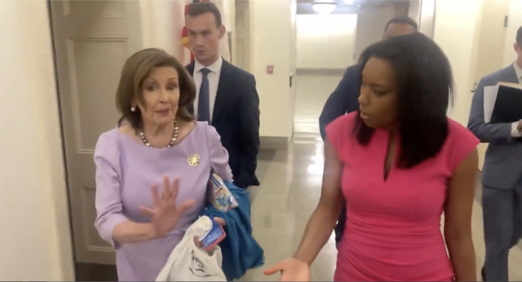 NASTY WOMAN: Nancy Pelosi Snaps At Black Woman, “Am I Speaking English to You?” * 100PercentFedUp.com * by Noah