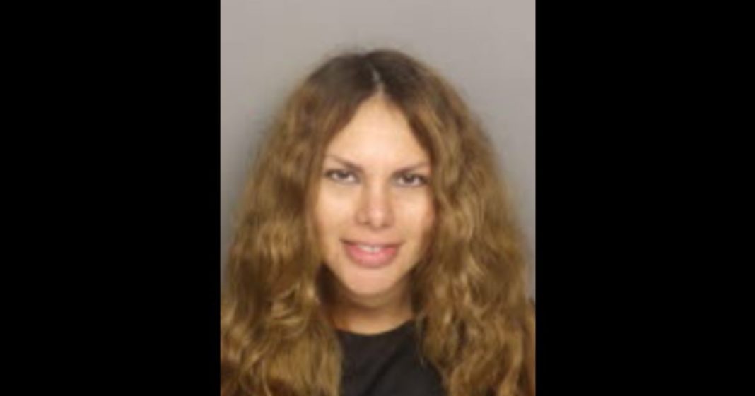 This mug shot shows Michelle Silva Perez, a transgender 'woman' who allegedly attacked a shelter in Greenville, South Carolina on July 18, 2024.