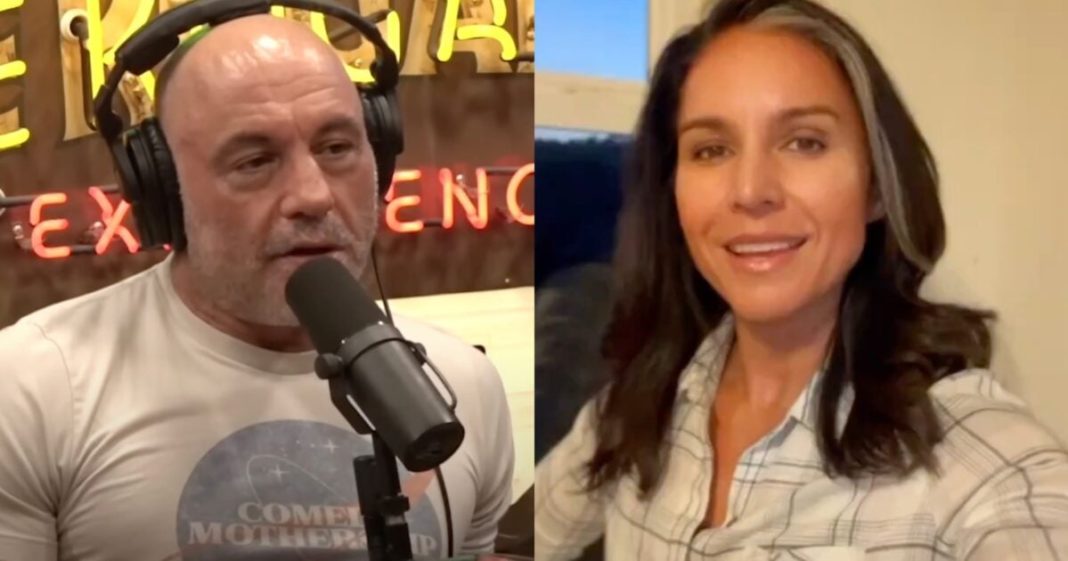 Tulsi Gabbard Exposes MSNBC as a Propaganda Machine for Democrat Elite — Deceptively Edits Joe Rogan Clip to Fabricate Support for Kamala Harris | The Gateway Pundit | by Jim Hᴏft