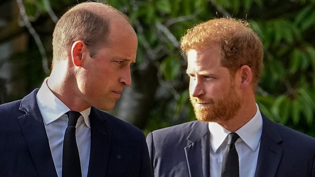 ‘This girl’: Prince Harry could see through William’s comments about Meghan Markle, says Royal Family insider | Today News