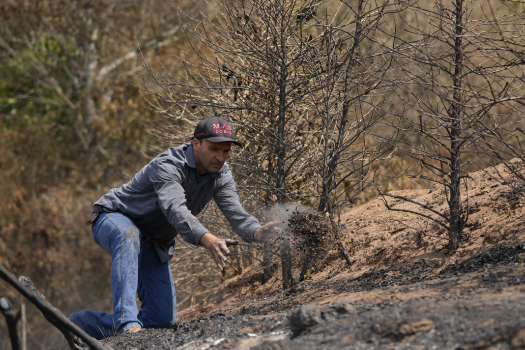 Coffee producer Silvio Elias de Almeida tosses a handful of damaged coffee beans during an inspection of his plantation consumed by wildfires in a rural area of Caconde, Brazil, on Wednesday.