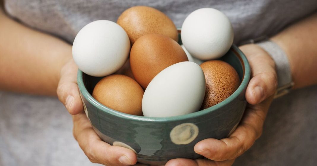 Eggs stay fresh for 12 months when stored in 1 unconventional place 