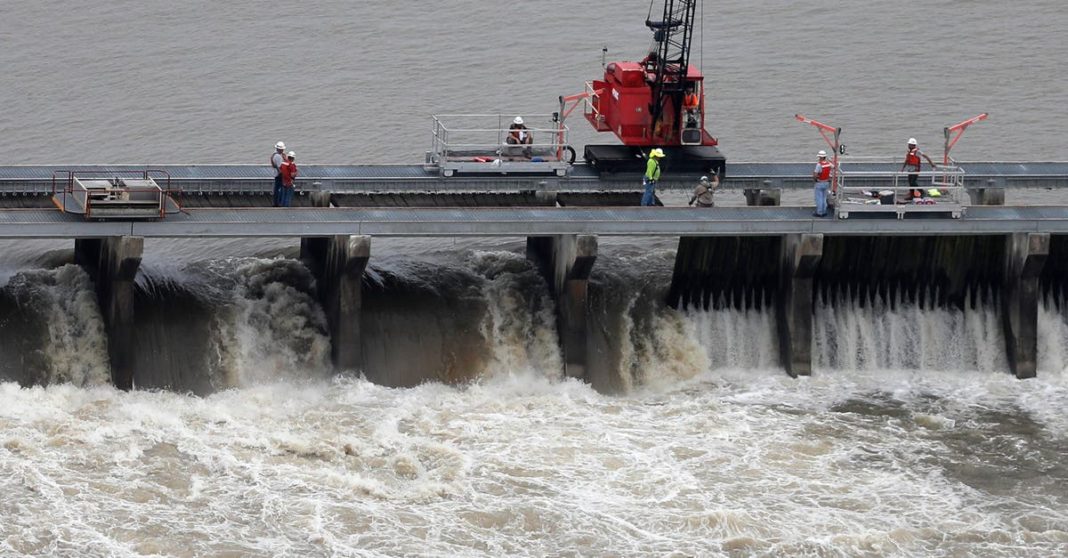 Judge dismisses lawsuit to protect dolphins along the Mississippi Gulf Coast