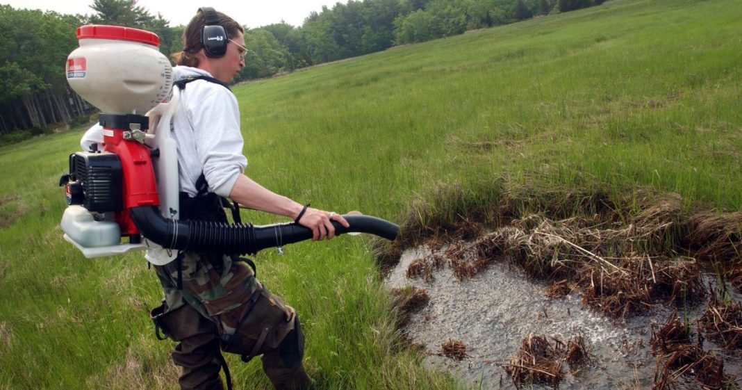 Dragon Mosquito Control employee Devin Hanington sprays a swamp to help curb the mosquito population in New Hampshire to help prevent the spread of the West Nile Virus and Eastern Equine Encephalitis.