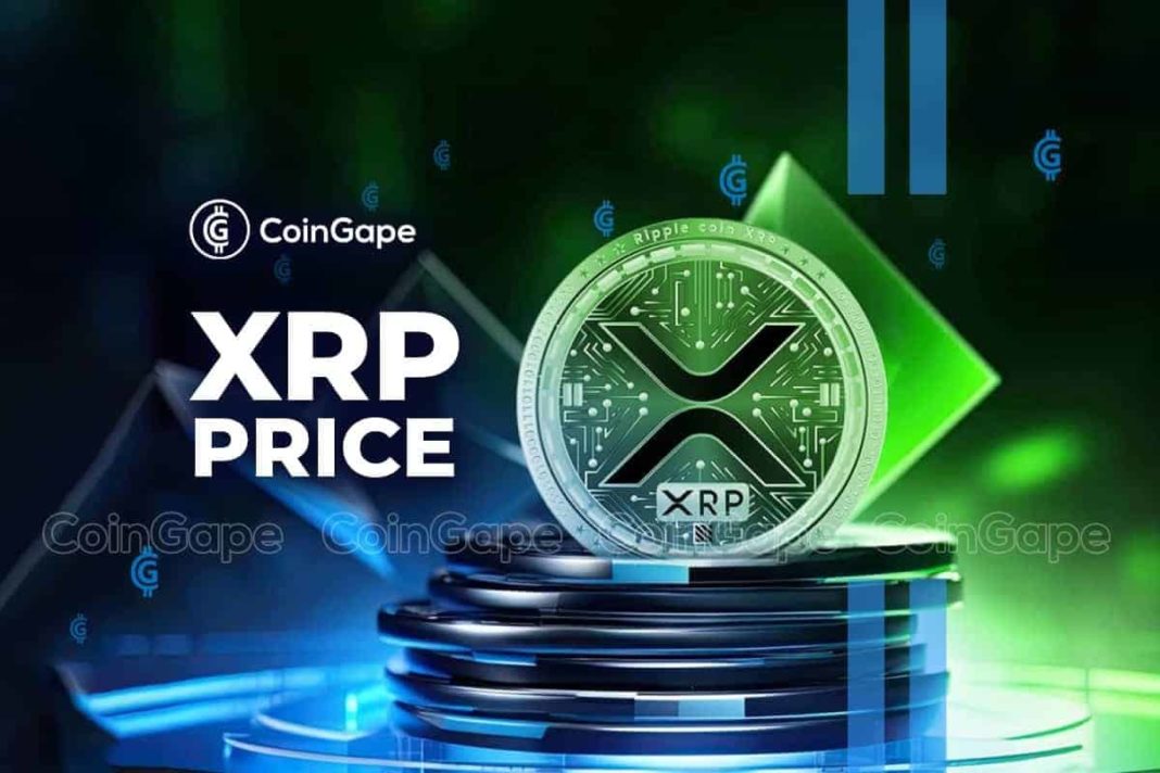 Will XRP Price Bounce Back Stronger After Whale Activity?