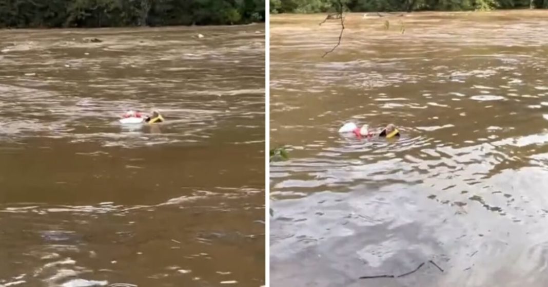 AMAZING RESCUE in North Carolina - Local Hero Jumps in Raging Flood Waters to Rescue Elderly Woman Who Was Swept Away by the Current - MUST-SEE VIDEO | The Gateway Pundit | by Jim Hoft