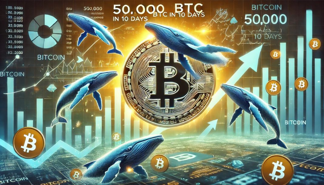 Bitcoin Whale Activity Hints At Upside: Big Players Bought 50,000 BTC In Just 10 Days | Bitcoinist.com