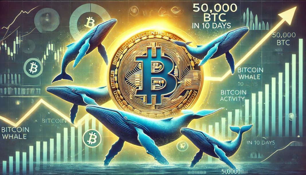 Bitcoin Whales Bought 1.5M BTC In The Past 6 Months: Smart Money Accumulation?