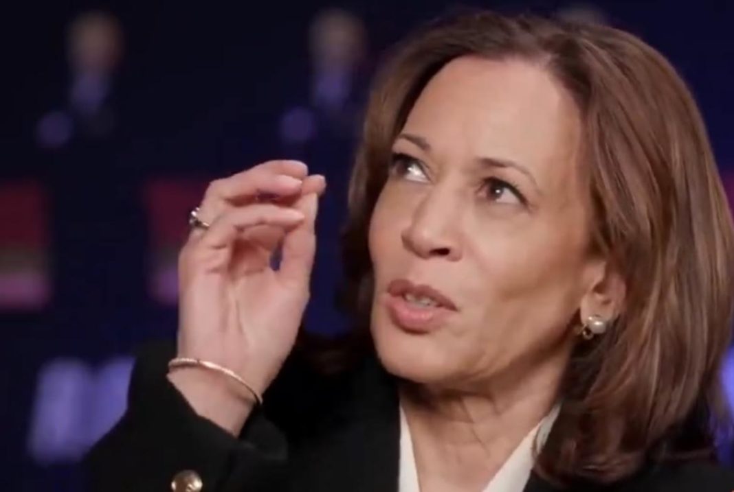 Blathering Idiot Kamala Harris Veers Off-Script During Talk About 