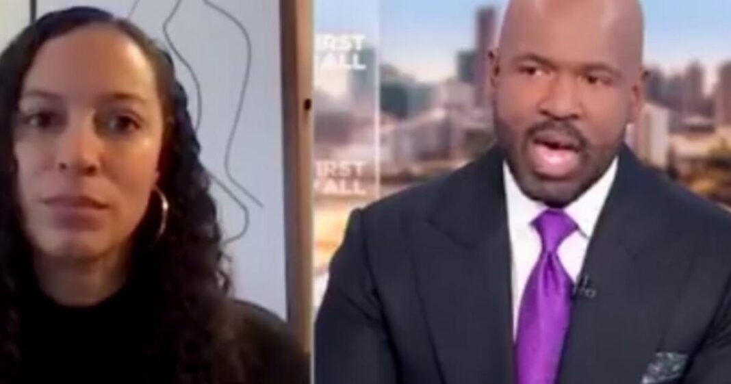 CNN Commentator Says White People Who Don't Vote For Kamala Harris Need to Be Held Accountable (VIDEO) | The Gateway Pundit | by Cristina Laila