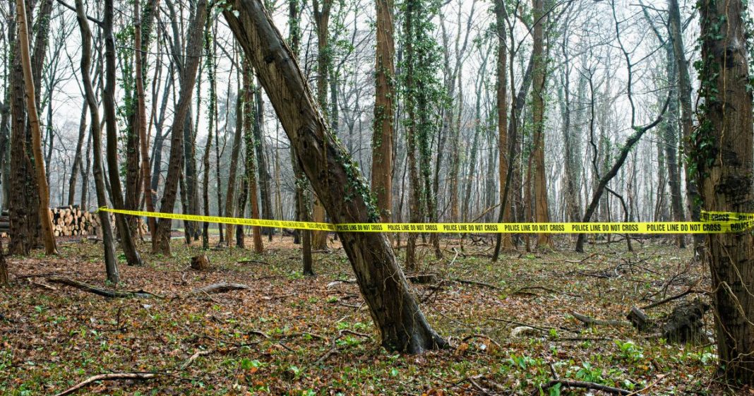 This Getty stock image shows a crime scene with yellow police tape in the woods.