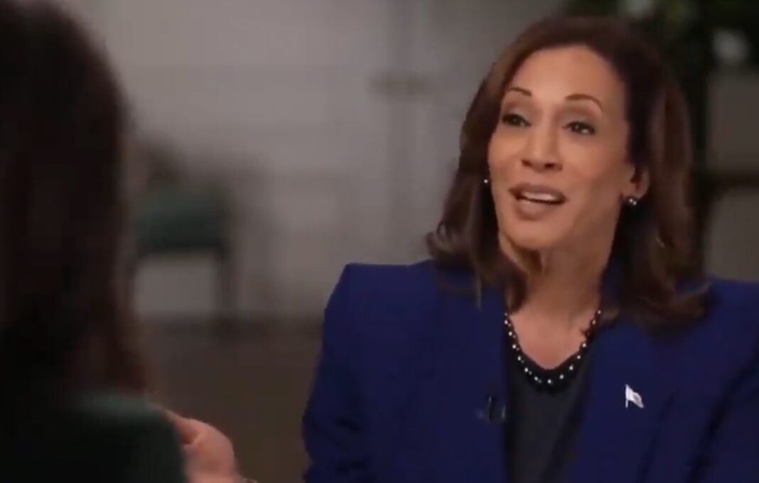 Kamala Harris Bombs in NBC Interview When Asked Why Voters Trust Trump and Not Her on the Economy (VIDEO) | The Gateway Pundit | by Cristina Laila