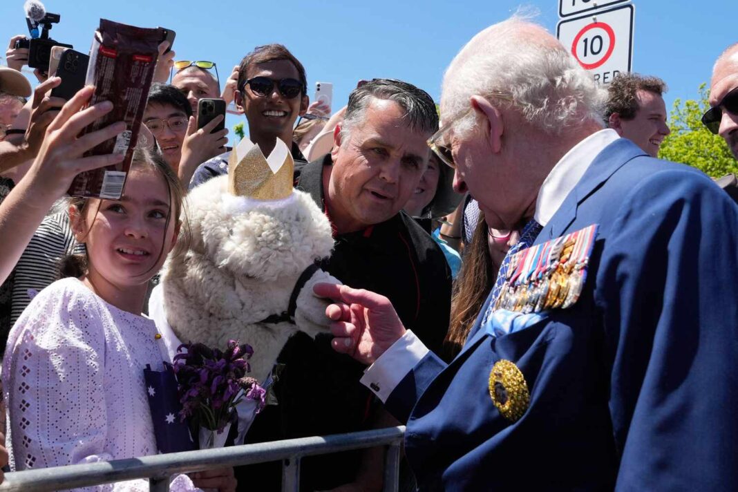 King Charles Caught Off Guard by Sneezing Alpaca in Unexpected Royal Walkabout Moment