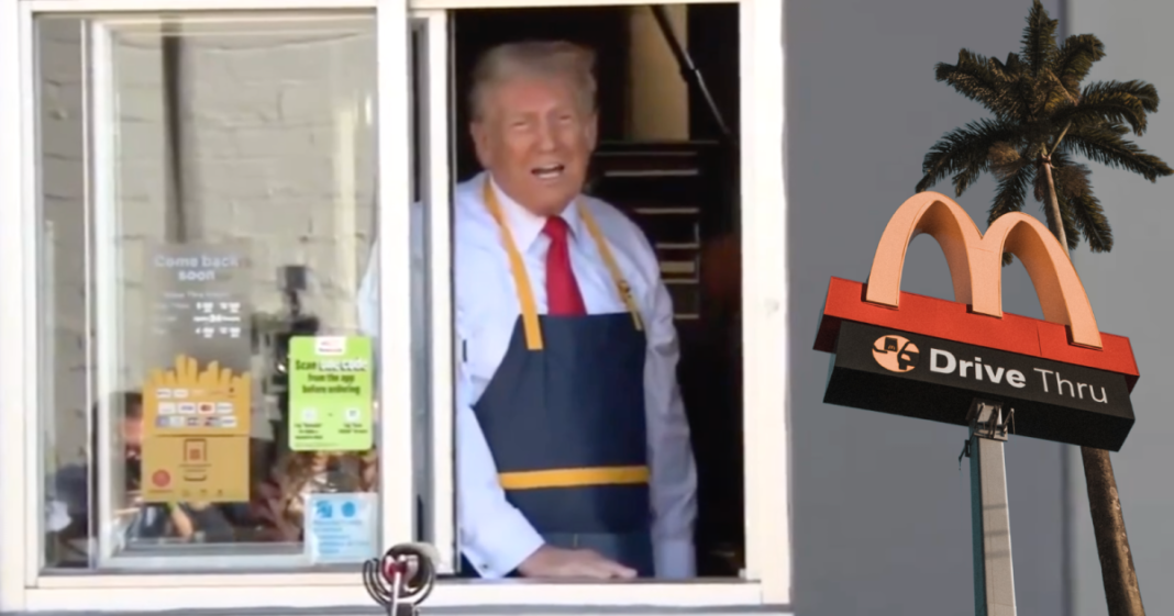 MUST SEE: President Trump Works At McDonalds and It's Perfect! | WLT Report