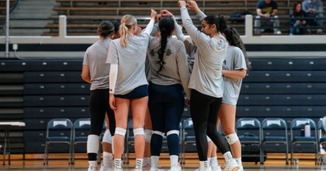 The University of Nevada, Reno women's volleyball team huddles up.