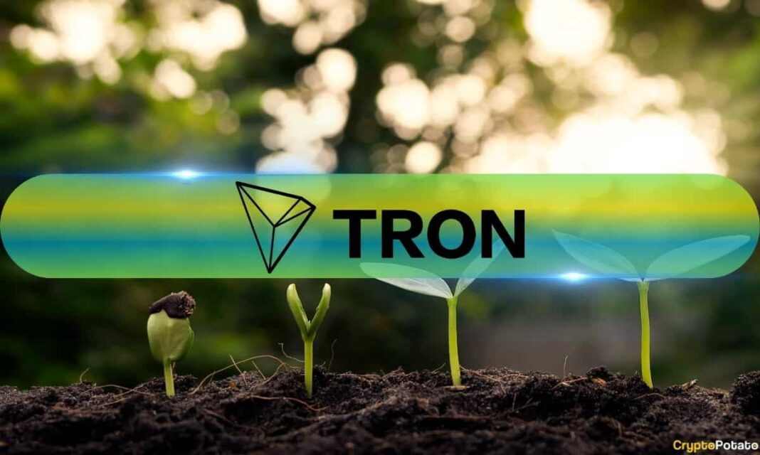 Tron's Q3 2024 Revenue Grows by 6% in TRX Amidst Meme Coin Boom